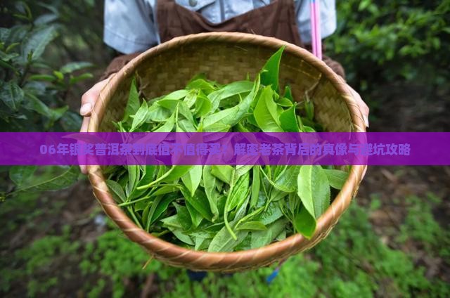 06年银奖普洱茶