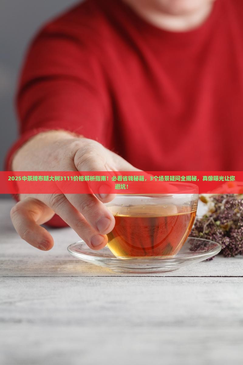 中茶牌布朗大树3111价格