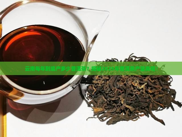 云南每年要产多少普洱茶