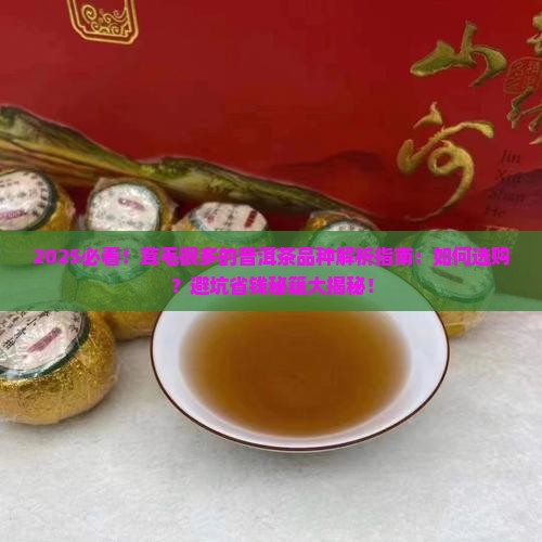茸毛很多的普洱茶品种