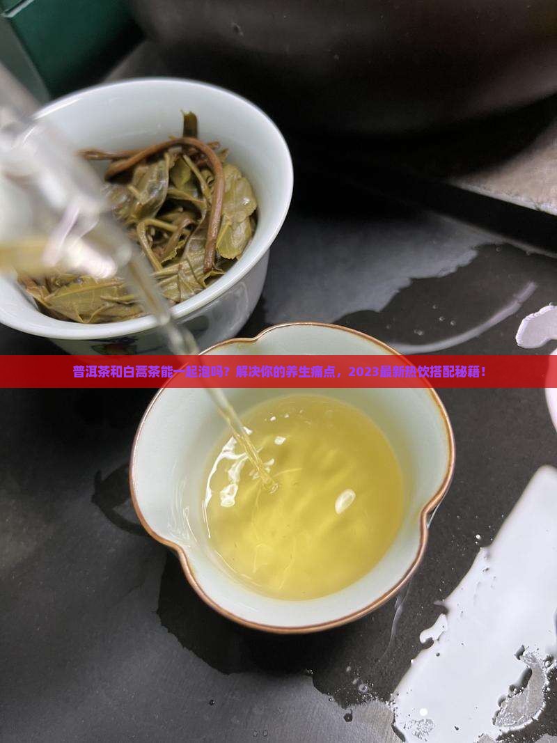 普洱茶和白蒿茶能一起泡吗