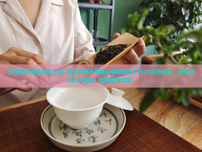 普洱茶普洱茶饼怎么泡