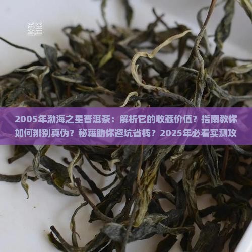 2005年渤海之星普洱茶