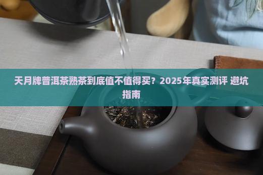 天月牌普洱茶熟茶