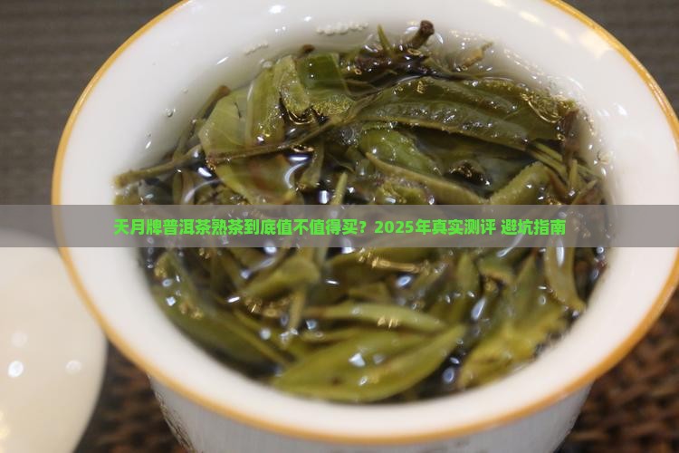 天月牌普洱茶熟茶