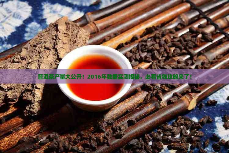 普洱茶2016年产量