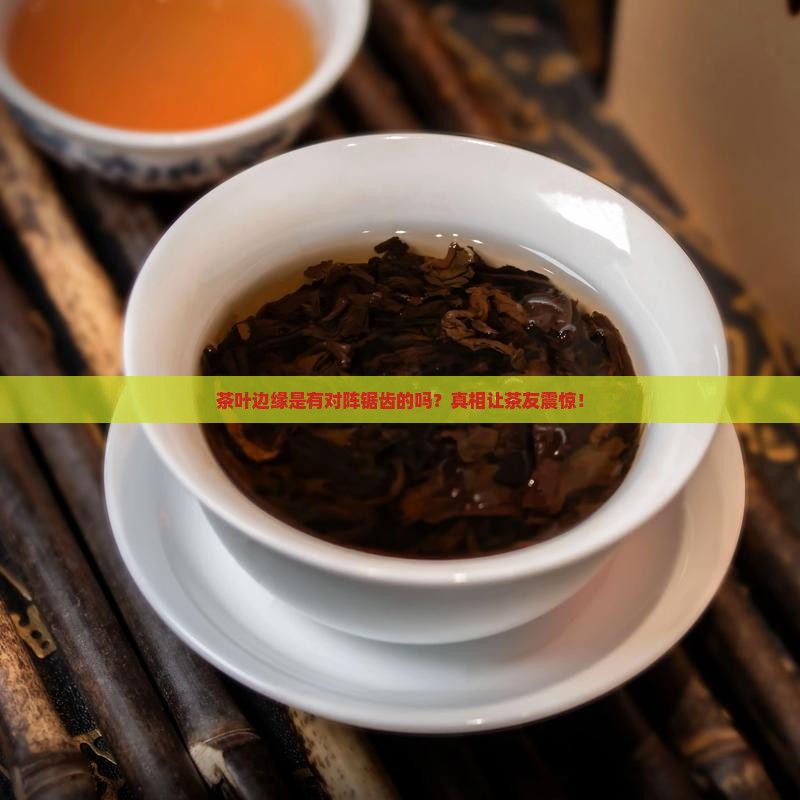 茶叶边缘是有对阵锯齿的吗