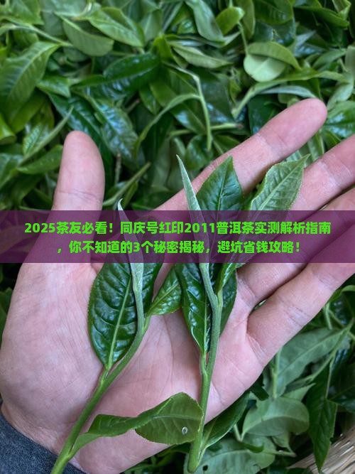 同庆号红印2011普洱茶