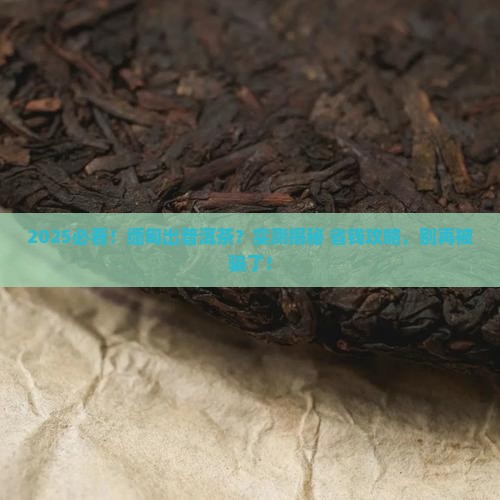 缅甸出普洱茶吗