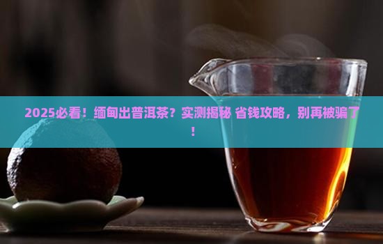 缅甸出普洱茶吗