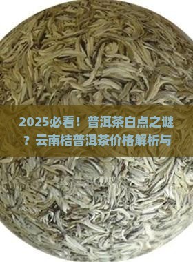 普洱茶白点云南桔普洱茶价格