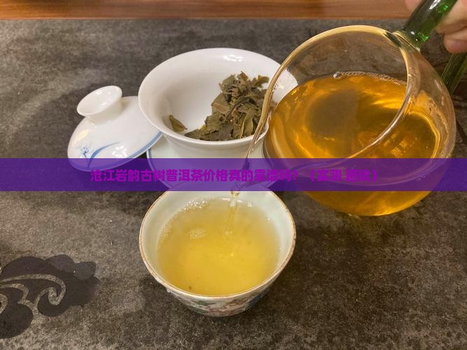沧江岩韵古树普洱茶价格