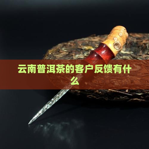 云南普洱茶的客户反馈