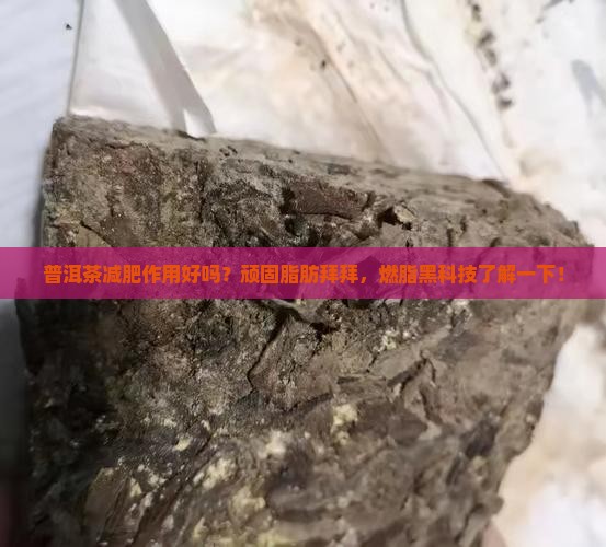 普洱茶减肥作用好吗