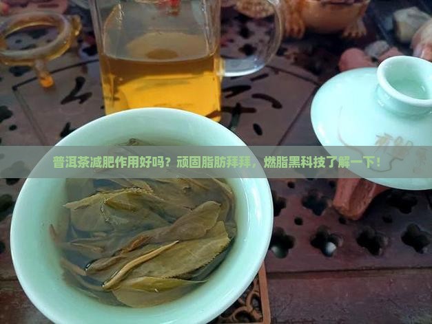 普洱茶减肥作用好吗
