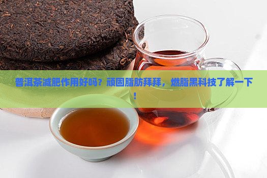 普洱茶减肥作用好吗