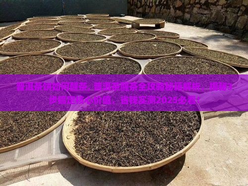 普洱茶饼如何醒茶