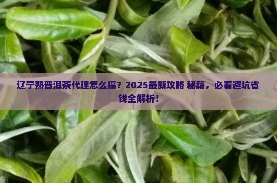 辽宁熟普洱茶如何代理