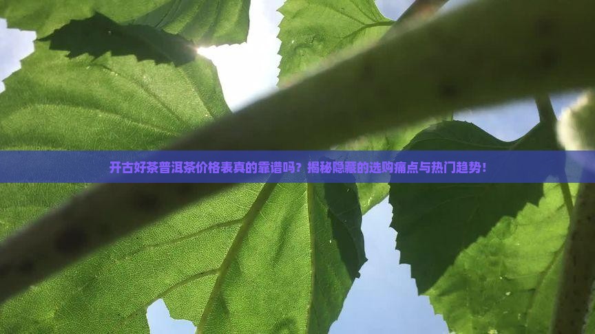 开古好茶普洱茶价格表