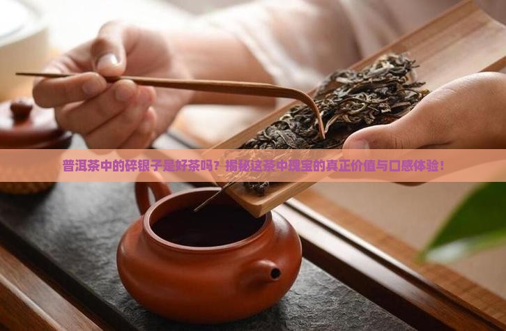普洱茶中的碎银子是好茶吗