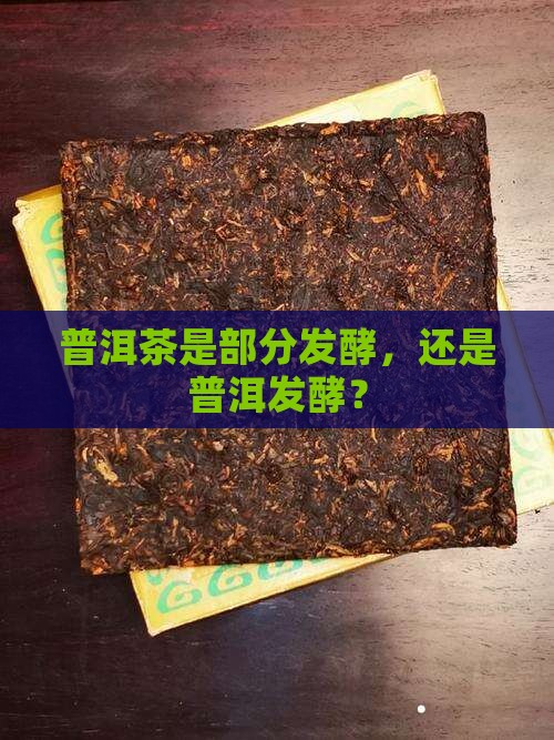 普洱茶有没有部分发酵