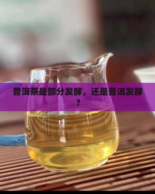 普洱茶有没有部分发酵