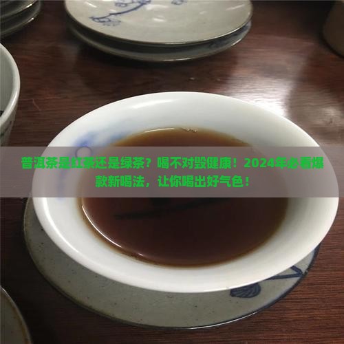 普洱茶是红茶还是绿茶普