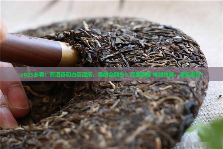 普洱茶对白茶有什么危害
