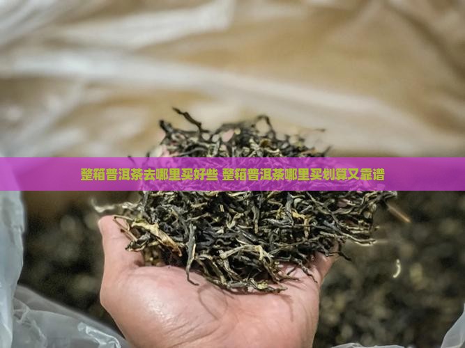 整箱普洱茶去哪里买好些