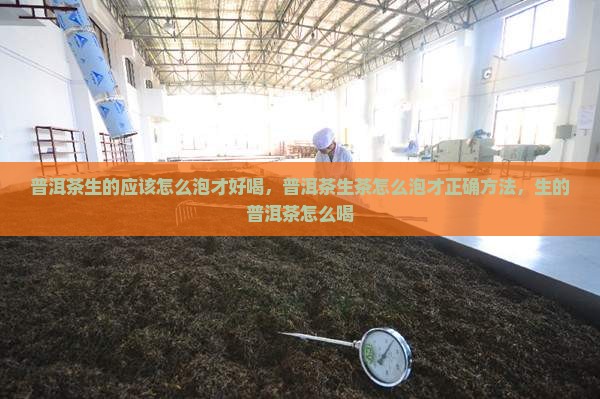 普洱茶生的应该怎么泡