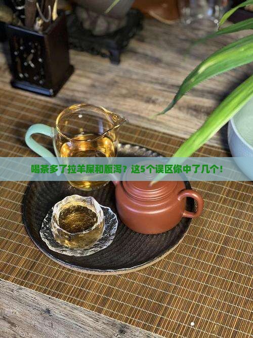 喝茶多了拉羊屎和腹泻