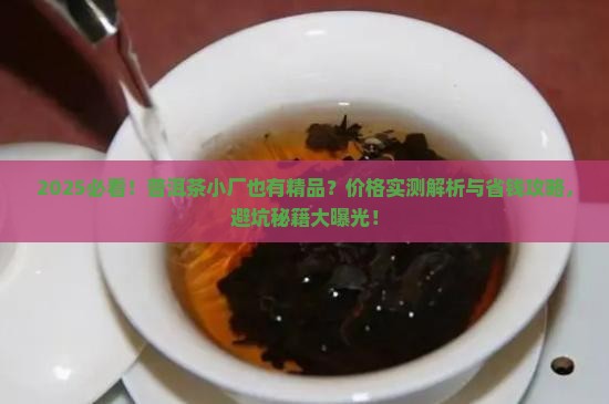 普洱茶小厂也有精品吗价格