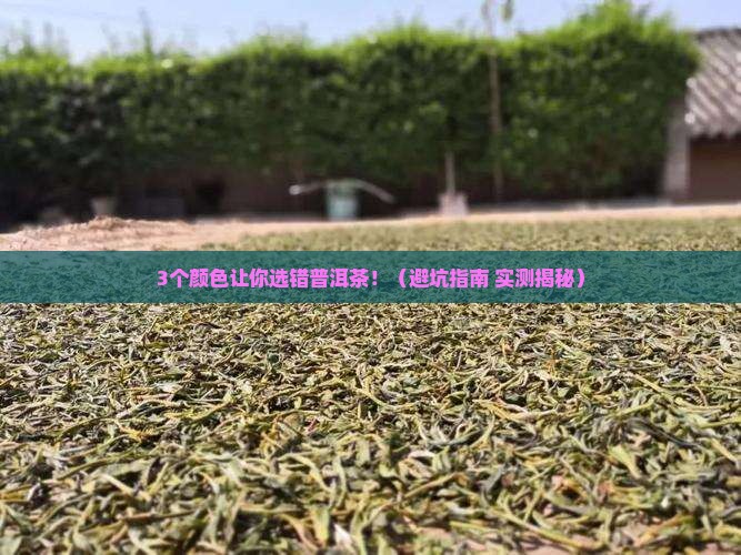 普洱茶干茶色泽