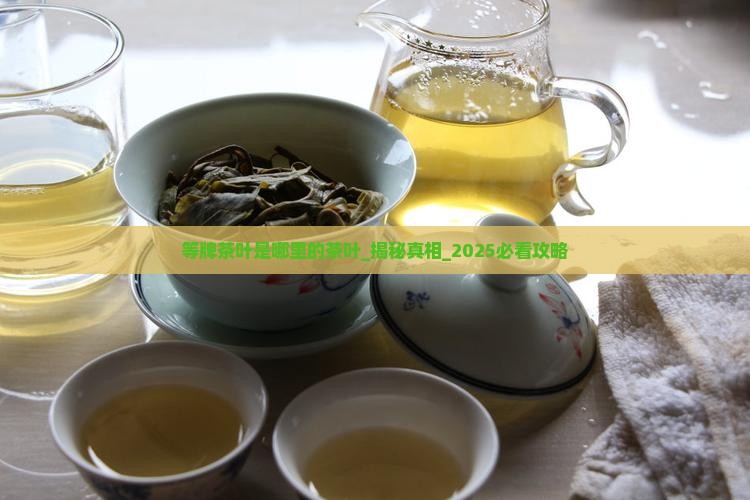 等牌茶叶是哪里的茶叶