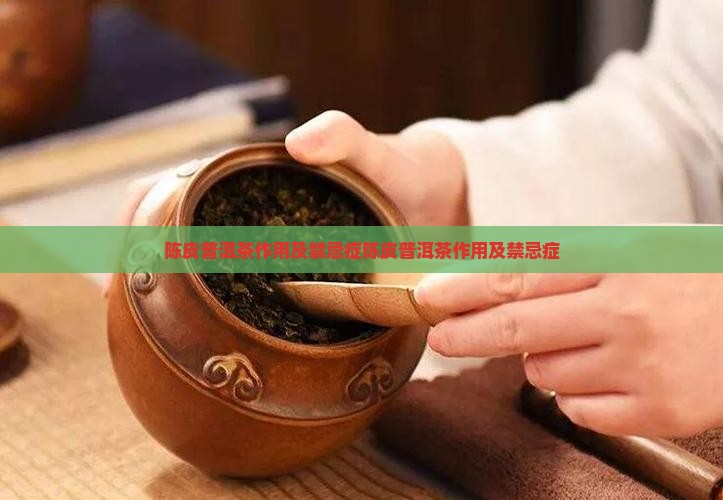 陈皮普洱茶作用及禁忌症