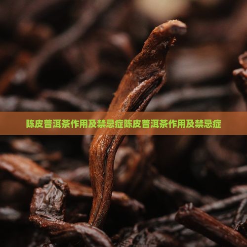 陈皮普洱茶作用及禁忌症