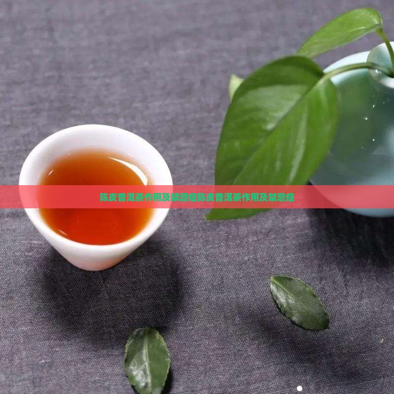 陈皮普洱茶作用及禁忌症