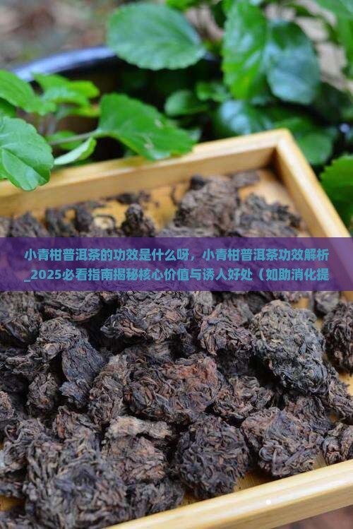 小青柑普洱茶的功效是什么呀