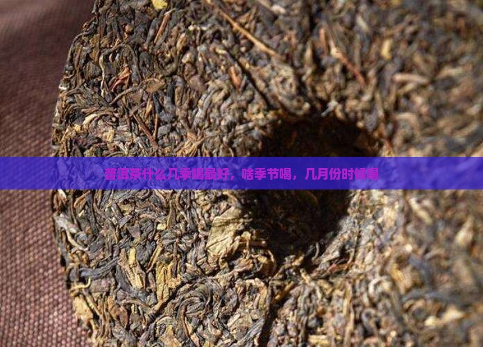 普洱茶什么几季喝