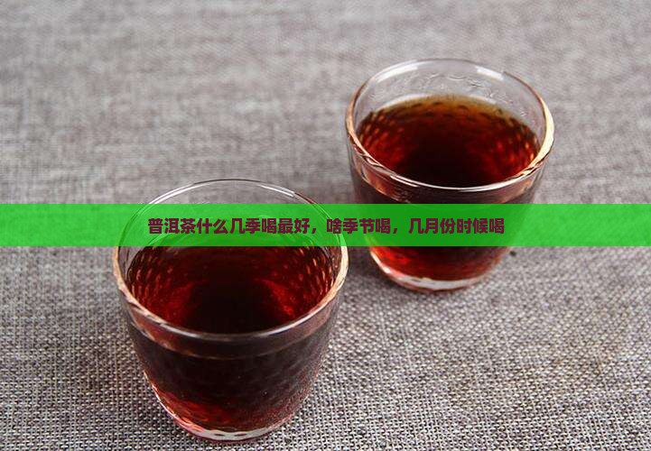 普洱茶什么几季喝