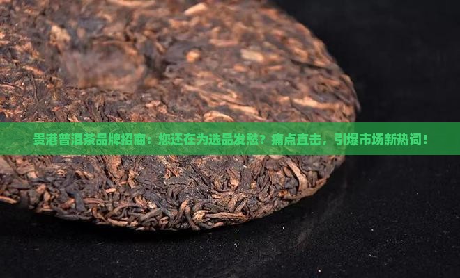 贵港普洱茶品牌招商