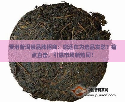贵港普洱茶品牌招商