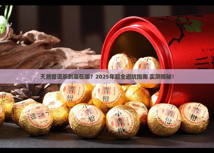 寻找天然普洱茶