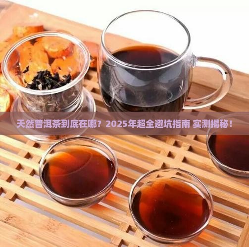 寻找天然普洱茶