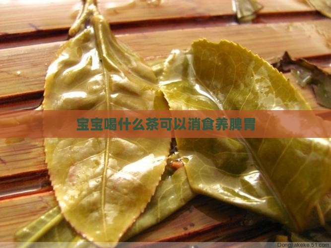 宝宝喝什么茶可以消食养脾胃