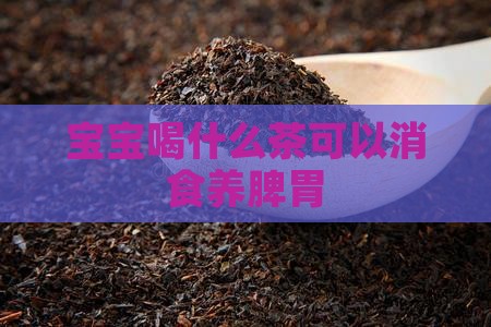 宝宝喝什么茶可以消食养脾胃