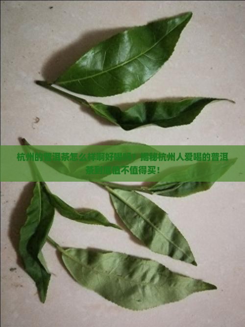 杭州的普洱茶怎么样啊好喝吗