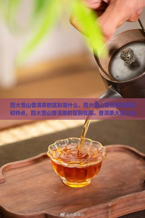 四大雪山普洱茶的区别