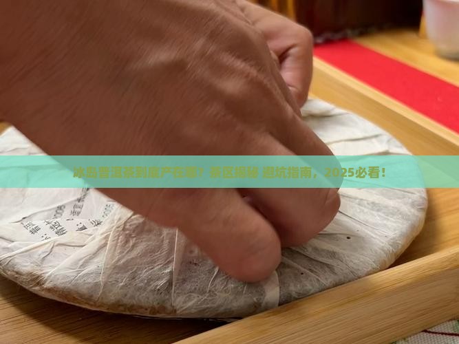 冰岛普洱茶是什么茶区