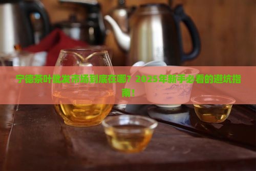 宁德茶叶批发市场地址